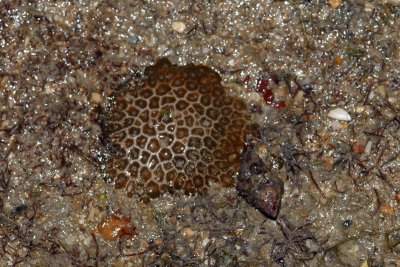 DSC_8568.jpg