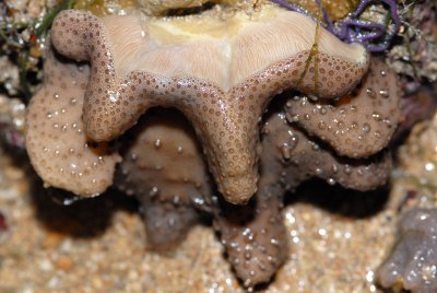 DSC_8570.jpg