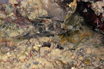DSC_8576.jpg