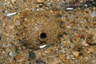 DSC_8577.jpg