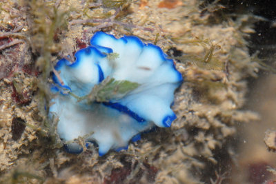 DSC_8579.jpg