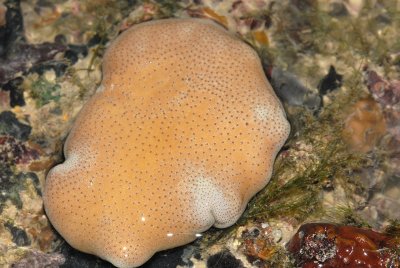 DSC_8583.jpg