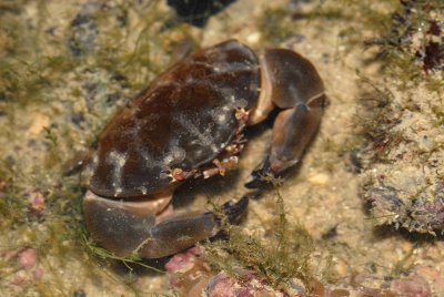 DSC_8584.jpg
