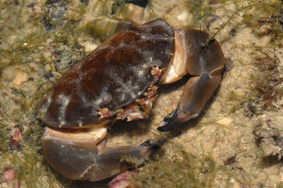 DSC_8585.jpg