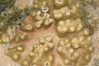 DSC_8587.jpg