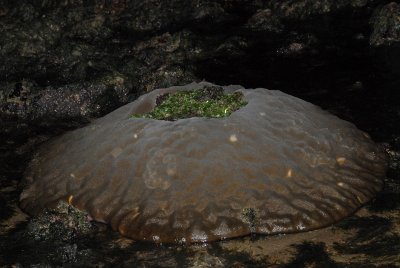 DSC_8594.jpg