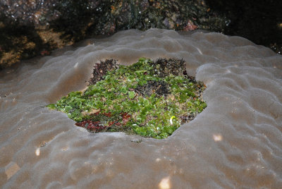 DSC_8595.jpg