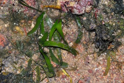 DSC_8598.jpg