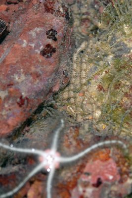 DSC_8602.jpg