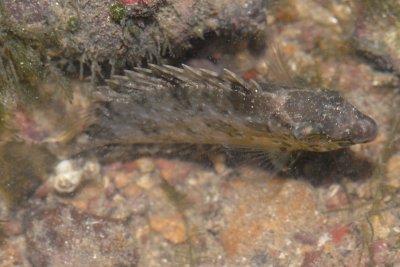 DSC_8603.jpg