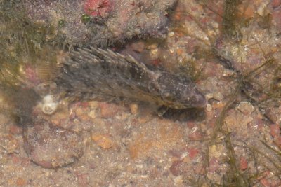 DSC_8604.jpg