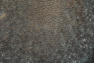 DSC_8606.jpg
