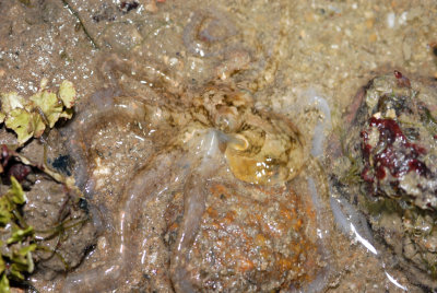 DSC_8614.jpg