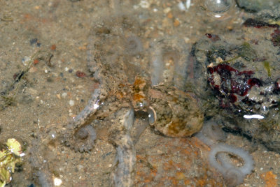 DSC_8618.jpg