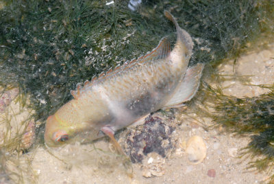 DSC_8619.jpg