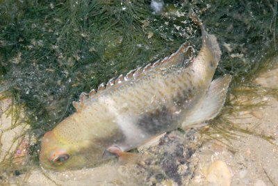 DSC_8620.jpg