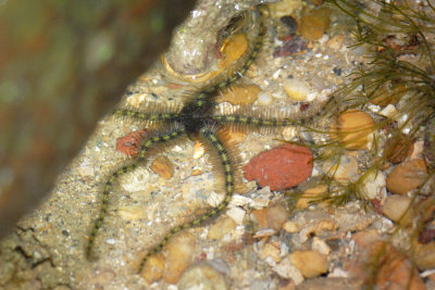 DSC_8626.jpg