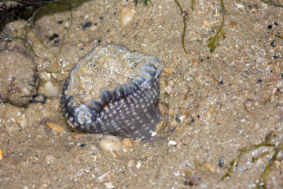 DSC_8628.jpg