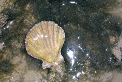 DSC_8631.jpg