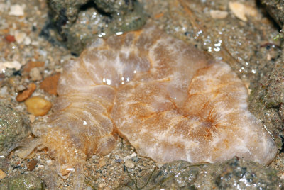 DSC_8660.jpg