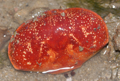 DSC_8663.jpg