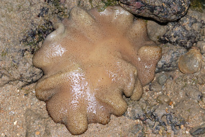 DSC_8664.jpg