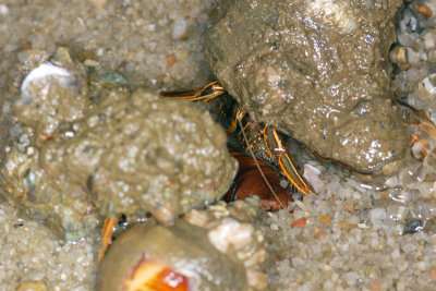 DSC_8707.jpg