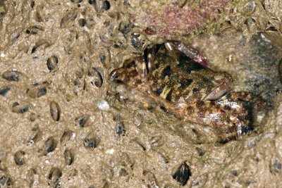DSC_8713.jpg