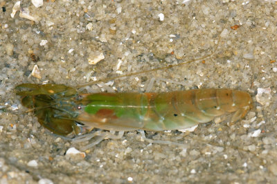 DSC_8719.jpg