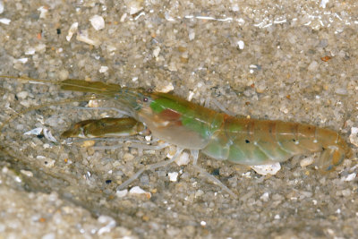 DSC_8720.jpg