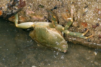 DSC_8722.jpg