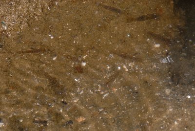 DSC_8723.jpg