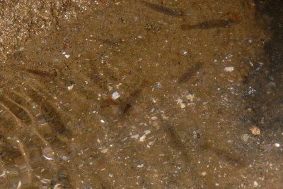 DSC_8724.jpg