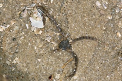 DSC_8726.jpg