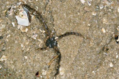 DSC_8727.jpg