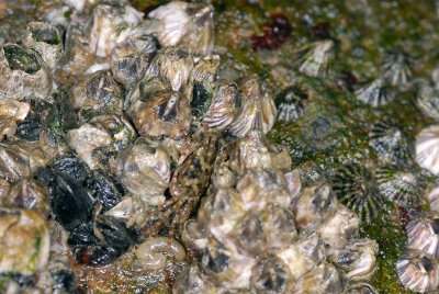 DSC_8730.jpg
