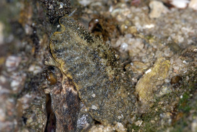 DSC_8734.jpg