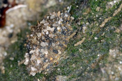 DSC_8737.jpg