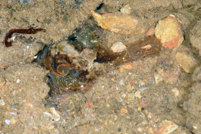 DSC_8742.jpg
