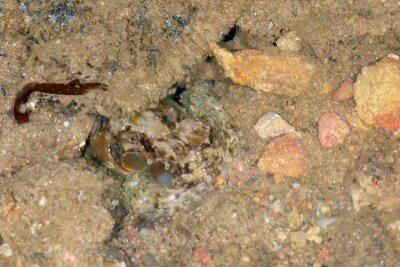 DSC_8743.jpg