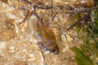 DSC_8759.jpg