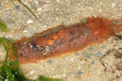 DSC_8760.jpg