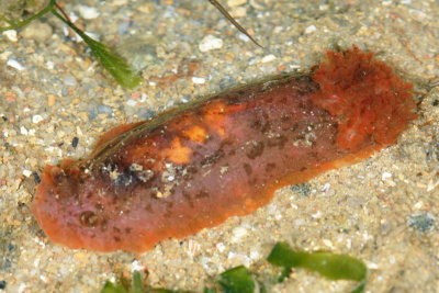 DSC_8761.jpg