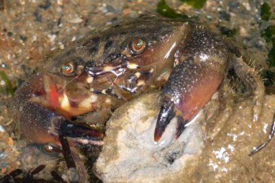 DSC_8764.jpg