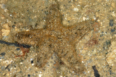 DSC_8768.jpg