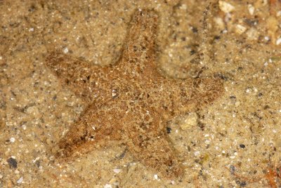 DSC_8769.jpg