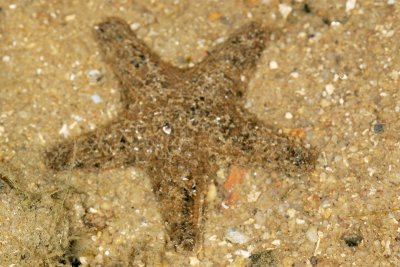 DSC_8770.jpg