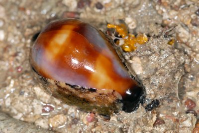 DSC_8894.jpg