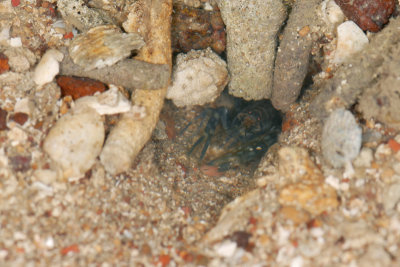 DSC_8900.jpg