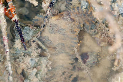 DSC_8906.jpg